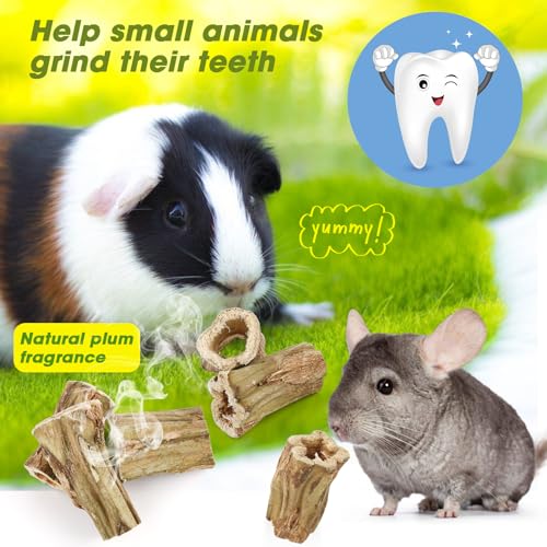 Abizoo Natural Bunny Chew Toys,6 Pcs Organic Papaya Wood Sticks Chew Toys for Rabbit,Hamster,Guinea Pig,Chinchilla,Gerbil,Rat Healthy Chews Teeth Grinding Treats, Squirrel Molar Snack - size: S