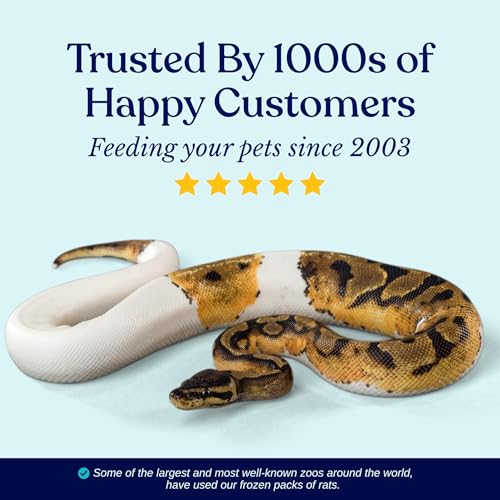MiceDirect 25 Frozen Large Feeders Snake Food for Adult Ball Pythons Monitors Lizards Birds of Prey (8-9 in) (4375 Grams Min) - size: 8-9 in (Pack of 25)