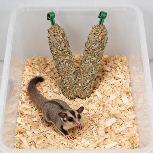 Accretion Eucalyptus Chew Sticks for Small Pets, Natural Treat with Oats & Honey for Sugar Gliders, Chinchillas, Rabbits