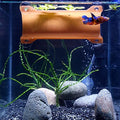 Brand Betta Tunnel (Translucent Terracotta) - color: Translucent Terracotta
