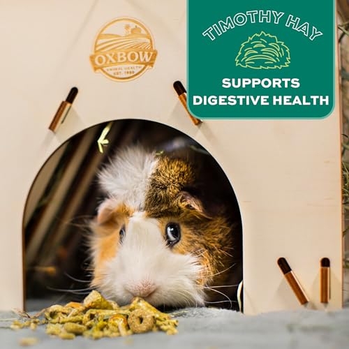 Oxbow Forage Wise Adult Guinea Pig Food, All Natural Adult Guinea Pig Pellets, Formulated with Timothy Hay & Vitamin C, No Artificial Colors & Preservatives, Made in the USA, Vet Recommended, 4 lbs