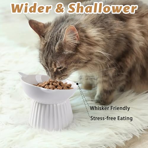 Ceramic Raised Cat Bowl，Tilted Raised Cat Bowl Anti Vomit Cat Bowls for Indoor Cats Whisker Friendly Pet Feeder for Cats Puppies, Microwave and Dishwasher Safe - color: White