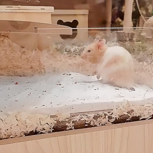 DR.DUDU Hamster Bath Sand, 2.8lb Dust Free Desert Sand or Potty Litter Sand for Hamster Chinchillas Gerbil Syrian Mice Small Animals (White, Flower Smell) - color: White-Flower, size: 2.8lb