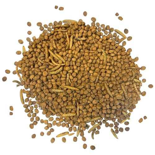 Exotic Nutrition Starter Package for Hedgehogs - Includes Exercise Wheel, Healthy Food, Natural Treat, Multi-Vitamin & Hideout