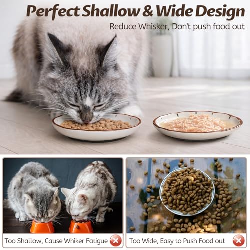 WROSWT Clock Cat Food Bowl,Non-Slip Silicone Bottom Cat Bowls for Indoor Cats,Anti Whisker Fatigue Cats Dishes Set,Shallow Wide Kitten Plates for Food and Water,3 Pack - size: Clock-3 Pack