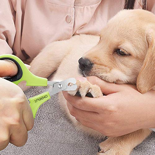 Pet Nail Clippers, Update Version Cat & Kitten Claw Nail Clippers for Trimming, Professional Pet Nail Clippers Best for a Cat, Puppy,Rabbit, Kitten & Small Dog,Sharp & Safe (Green) - color: Green