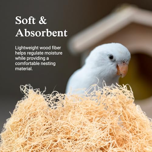 Aspen Wood Excelsior, Fine Cut, Small 2-Pack | Natural Aspen Wood Excelsior for Crafts & Animal Bedding, Cages, Soft & Absorbent, Dye-Free, Family Owned, USA Made