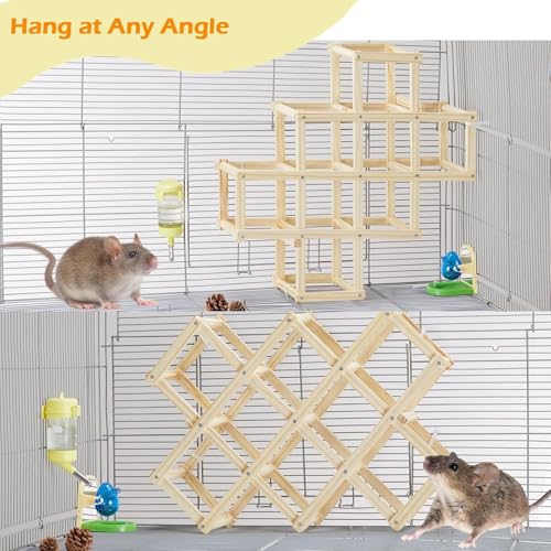Kiln-Dried Wood Rat Climb Toy, Hanging Cage Ladder Activity (L, 1pc) | Natural Rat Cage Bridge, Multiple Openings & Directional Ramps Offer Challenges to Satisfy Rats' Instincts for Explore & Play - style: L, 1pc