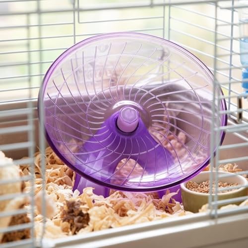POPETPOP Silent Hamster Running Wheel 7.08 Inch Exercise Saucer with Low Noise and Smooth Edges for Small Pets Like Hamsters Gerbils Hedgehogs - color: Violet