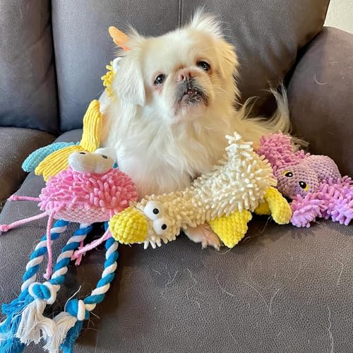 Nocciola 5 Packs Squeaky Dog Toy Plushies, Cute Soft Squeak Crinkle Plush Stuffed Durable Pet Animal Chew Puppy Toys for Small Meidum Large Breed - style: Bundle