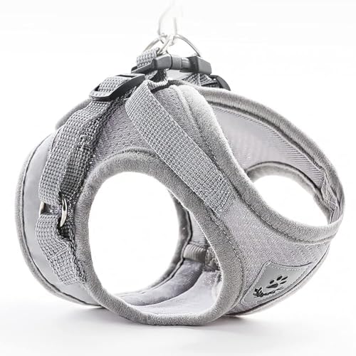 FEimaX Dog Harness and Leash Set for Walking, Soft Mesh Adjustable Easy Control Lightweight Cat Vest Harnesses with Reflective Strips, Escape Proof Small Dogs Cats Vests (Grey, Small) - color: Grey, size: Small