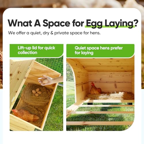 Quictent Large Metal Chicken Coop Run for 30+ Poultry w/Beige Nest Box | Side Hardware Cloth & Cover, Advanced Series Outdoor Walk-in Cage Hen Duck Rabbit Dog Pen Yard Farm House, 18x9x6.6FT - color: Beige, size: 214.5"L x 107.3"W x 78.0"H