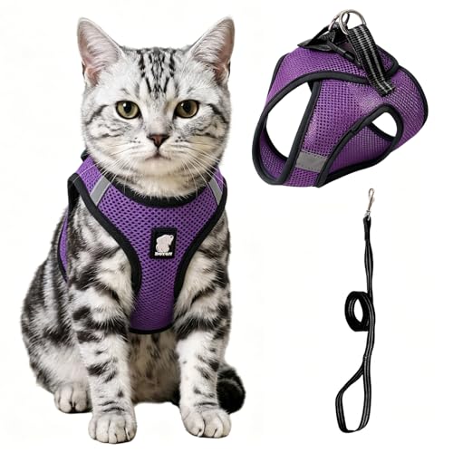 Cat Harness and Leash Escape Proof, Soft Breathable Mesh Kitty Walking Vest, Adjustable Step-in Kitten Harness Set with Reflective Strip for Small Cats - color: Purple, size: Small