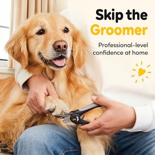 LED Dog Nail Clippers with Light Illumination, Trimmers with Protective Guard, Safety Lock and Nail File - Suitable for Large and Small Dogs & Cats (Grey) - color: Grey, size: Medium-Large (LED)