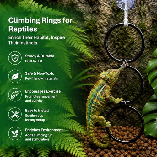 Snake Enrichment Toys for Ball Python, Includes Jungle Gym Ball with Chain, Climbing Rings for Small Corn Snake, Small Reptiles Exploring&Climbing Accessories