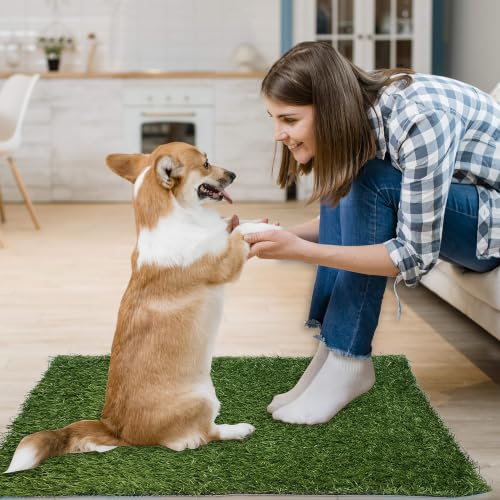 2 Pack Artificial Dog Grass Pee Pad 23"x23", Indoor Puppy Potty Training | Easy to Clean, with Drainage, Reusable, Realistic, Fake Grass Mat, for Apartment, Balcony, Outddor Use - size: 23"x23"