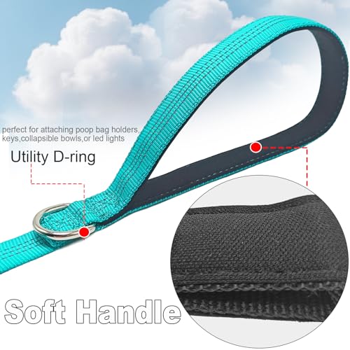 5FT Bungee Dog Leash Shock Absorbing Reflective Small Medium Dogs | Nylon Lightweight Leash- 2cm Wide- Anti- Pull Training- 6 Colors (Turquoise) - color: Turquoise