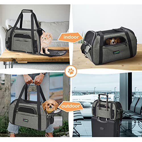 JESPET Soft-Sided Kennel Pet Carrier for Small Dogs, Cats, Puppy, Airline Approved Cat Carriers Dog Carrier Collapsible, Travel Handbag & Car Seat - color: Grey, size: 19.0"L x 10.0"W x 13.0"H
