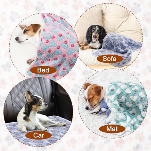 1 Pack 3 Blankets for Dog Puppy Cat (Medium 30x20'', Purple, Pink, Green) | Super Soft Fluffy Premium Fleece Pet Blanket Flannel Paw Printed Throw - color: Purple, Pink, Green, size: 30x20 inch(Pack of 3)