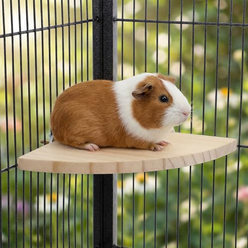6.7 Inch Fan-Shaped Perch Bird Platform, Natural Wood Flat Perches for Bird Cages, Parrot Perch Corner Stand, Small Parrot Stand Animal Cage Accessories for Hamsters Gerbils
