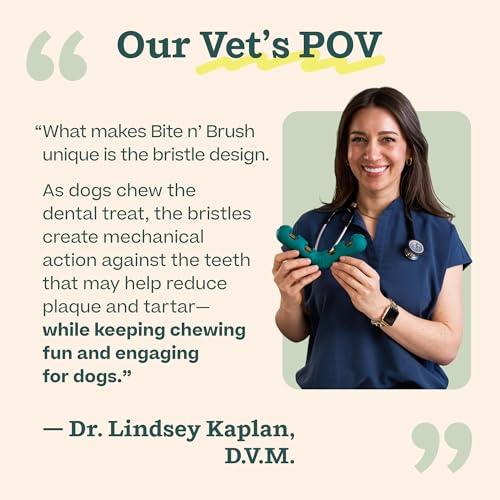 WOOF Bite n' Brush Dog Dental Chew Toy for Small Dogs 10-25 lbs | Dog toothbrush toy, V-shaped design, reusable, easy to clean, dental dog toy - size: Small