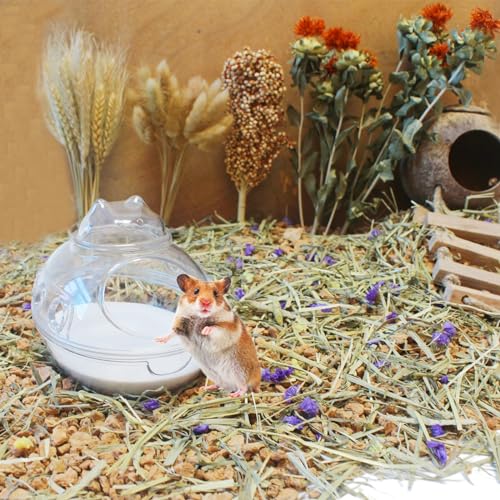 Hamster Bath Sand, 3lb Dust Free Desert Sand or Potty Litter Sand for Hamster Chinchillas Gerbil Syrian Mice Small Animals - color: White, size: 3lb