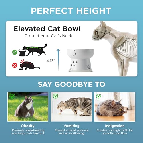 NECOICHI Raised Cat Water Bowl, Elevated, with Measurement Lines, Dishwasher and Microwave Safe (Cat, Extra Tall) White - color: Cat, size: Extra Tall