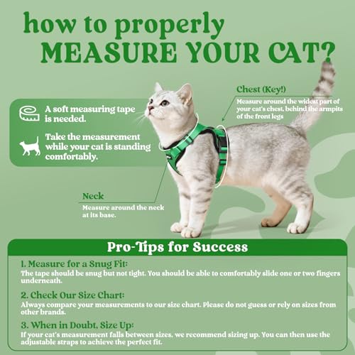 rabbitgoo Cat Harness and Leash Set, Escape Proof Vest, Grass Green | Soft Breathable Mesh, Easy Adjustable Fit, Snap Buckles, Sturdy Clip, Reflective Strips, for Kittens & Small Cats Walks, Xxs - color: Grass Green, size: Xxs