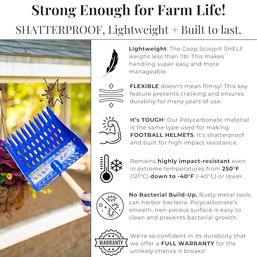The Coop Scoop® Shelf 2-in-1 Chicken Poop Scooper & Rake, 10" Handle | Made in The USA, Patented, Durable Sand Sifting Litter Shovel, For Chicken Coops & Small Farm Animals - size: SHELF 10" Handle