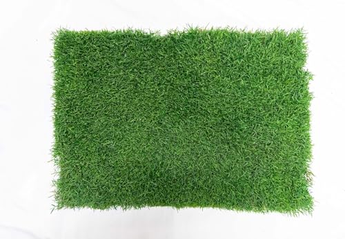 Gotta Go Grass for Small Animals – Natural Real Grass Bedding & Pet Resting Pad, Grass Potty Pad for Rabbits, Guinea Pigs, Hamsters, and Small Pets, Odor Absorbent Grass Mat (With Tray 16" x 24") - size: With Tray 1- Pack