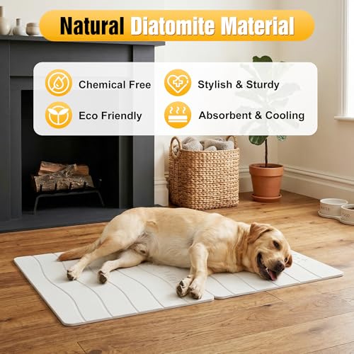 Double-Side 2 in 1 Stone Pet Food Mat & Cooling Mat (24"*16") | Instant dry water absorbing Diatomite Stone Dog Bowls Drying Mat & Heat dissipating Pet Cooling Mat. Bite-Proof & Non-slip. - color: WHITE, size: 24"*16"