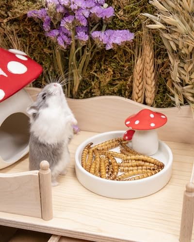 Niteangel Small Animal Snack & Treats - Dried Worms & No Additive | Delivers Essential Vitamins & Minerals- Small Animal Natural Treat for Dwarf Syrian Hamsters Gerbils Mice Degus or Small Pets