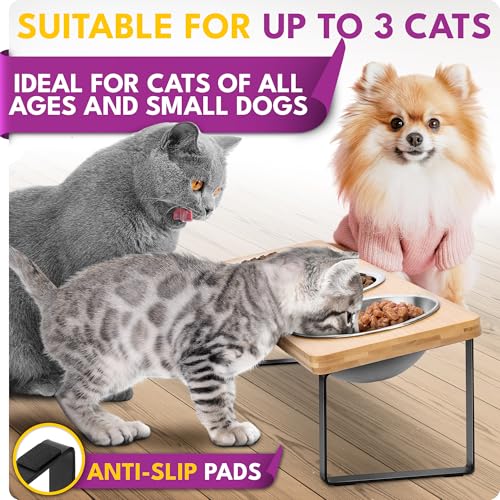 Raised cat Bowls for Indoor Cats by WinTruffles, Elevated cat Bowls, Tilted and Elevated Anti Vomiting Cat Dishes for Food and Water, Set of 3 Stainless Steel Bowl - color: 3 bowls