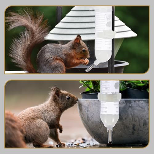 Abaodam 4 Pack Hamster Water Bottle Leakproof Roll Ball Kettle Hanging Water Dispenser for Small Pets Plastic Drinking Feeder for Hamster Guinea Pig Rabbit Ferret Rats 7.08 in