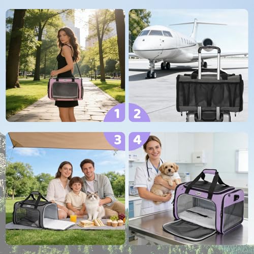 Pet Carrier for Cats & Small Dogs, Travel Carrier with Anti-Collapse Support, Chew Resistant Buckles, Luggage Sleeve, Multi-Pocket Storage, Reversible Mat & Bowl (Purple, Medium (17.5"x11"x11.5")) - color: Purple