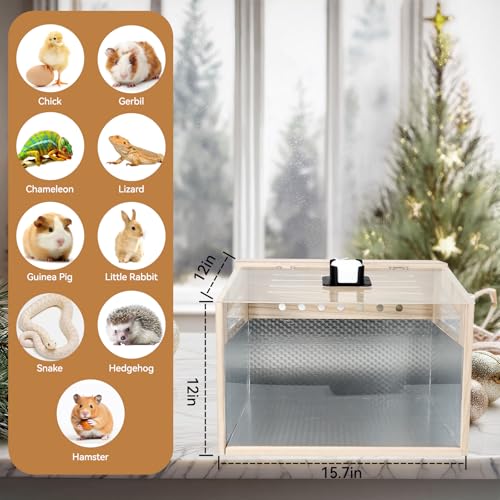 Hamster Cage with camera - 2.5K 5G Hamster camera for Chewproof Guinea Pig Cage Clear Small Animal cage with Open top Hamster Habitat Wooden mouse cage with Acrylic Panel 15.7*12*12 IN