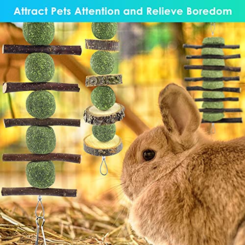 ERKOON Bunny Chew Toys, Rabbit Chew Toys for Teeth Grinding, Improve Dental Health, 100% Natural Apple Wood Timothy Grass Cake Treats for Rabbits Guinea Pigs Chinchillas Bunnies Hamsters (3 Pcs) - style: 3 Pcs