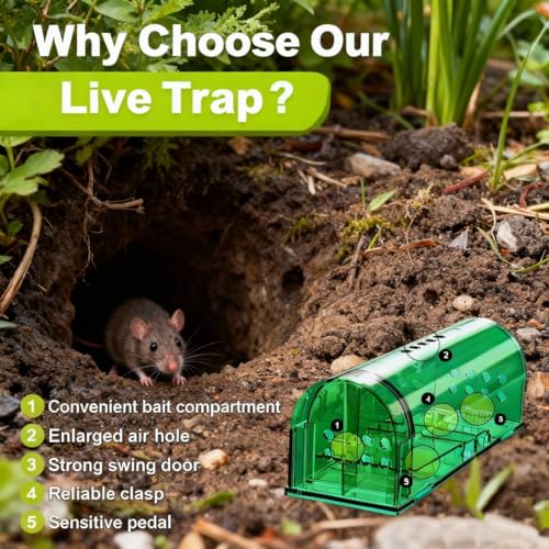 2 Pcs Humane Mouse Traps, Reusable Mice Trap Live Rat Cage Indoor Outdoor | Green, PC Material, Reusable Capture & Release, Use for Home, Waterproof - size: 2 Pack