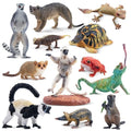 Toymany 12PCS Madagascar Animal Figurines Set, Realistic Lemur Jungle Animal Toys Set Includes Chameleon, Tortoise,Gecko,Fossa,Sifaka -Educational Forest Animals Figure Toy Collection for Kids Adults - style: Jungle Animal-1