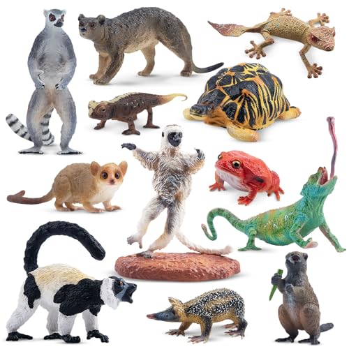 Toymany 12PCS Madagascar Animal Figurines Set, Realistic Lemur Jungle Animal Toys Set Includes Chameleon, Tortoise,Gecko,Fossa,Sifaka -Educational Forest Animals Figure Toy Collection for Kids Adults - style: Jungle Animal-1