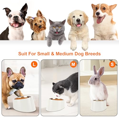 Tilted Dog Bowl Non-Slip & Non-Spill Pet Feeder with Elevated Detachable Melamine Stand, Easy to Get Food Dog Dish, M/180ml White - color: White, size: Medium(180ml)