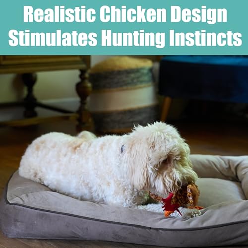 SPOT Skinneeez Chicken 17" Stuffing-Free Plush Dog Toy with Honking Squeaker – Soft, Floppy & Mess-Free Interactive Toy for Medium & Large Dogs – Ideal for Light & Moderate Chewers - style: Chicken