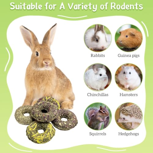 Fhiny 20 PCS Rabbit Chew Toys, Rabbit Treats with Natural Grass and Flowers, Pet Molar Grass Cakes for Guinea Pigs, Chinchillas, Hamsters and Other Small Rodents - size: 20 PCS