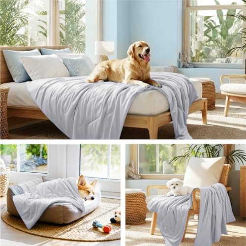 Luciphia Cooling Dog Blanket, Q-MAX>0.5 Pet Throw for Couch, Crate & Bed | Cools on contact—no power needed. Soft, breathable, gentle on sensitive skin; dog & cat cooling throw, Light Grey,40x60 - color: Light Grey, size: 40x60 inches