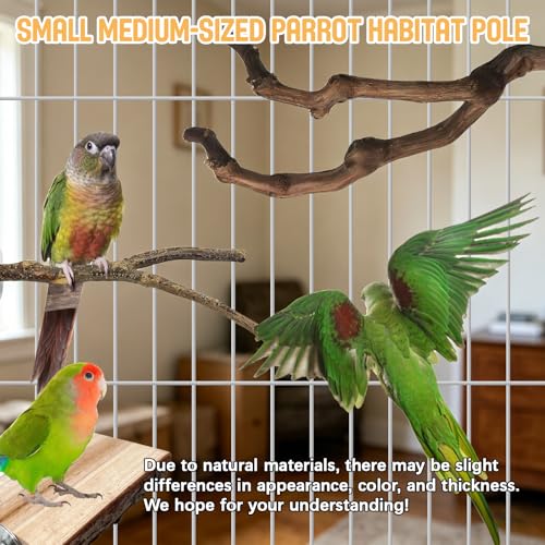 5PCS Bird Perch Stand, Bird Perch Stand Natural Wood Standing | Birds Cage Accessories,Natural Wood Pole Standing Paw Grinding Fork, Suitable for Most Birds, Such as Lovebirds, Parrots - color: Wood