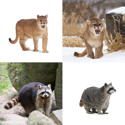 Toymany 12PCS North American Forest Animal Figurines, Realistic Jungle Zoo Animal Set Includes Moose,Cougar,Wolf,Bear,Eagle,Deer Educational Toy Cake Toppers Christmas Birthday Gift for Toddlers - style: North American Animals