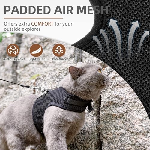 PUPTECK Soft Mesh Cat Vest Harness and Leash Set Puppy Padded Pet Harnesses Escape Proof for Cats Small Dogs Rabbits Bunny, Black Medium - color: Black, size: M(NECK 7", CHEST 10.5", 4-6 lbs)