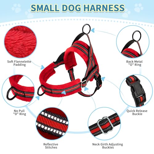 SlowTon No Pull Small Dog Harness and Leash Set with Front Clip | Soft Padded, Neck & Chest Adjustable, Lightweight, Anti-Twist, Puppy Vest Harness Pet Lead Combo for Small Medium Dog, R S - color: Red, size: Small