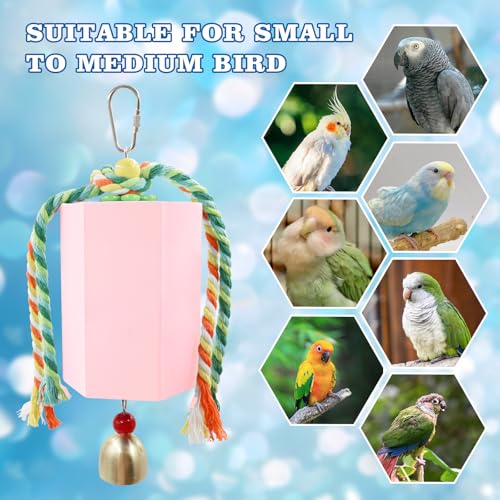 Bird Beak Grinding Stone, Parrot Chew Toys with Bells, Parakeet Toys, Cage Accessories for African Grey, Amazon Parrots, Budgies, Cockatiels, Lovebirds, Conures, Quakers, Small to Medium Birds - color: Pink