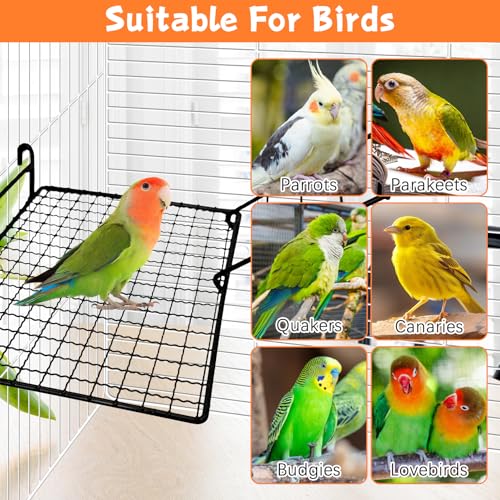 BNOSDM Stainless Steel Grid Platform for Parakeet 4 PCS Bird Perches Platform Parrot Stand with Climbing Ladder Bird Cage Accessories for Small to Large Birds (L)